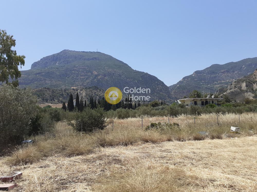Αγροτεμάχια 2.981 τ.μ. προς πώληση, Κάτω Λουτρό