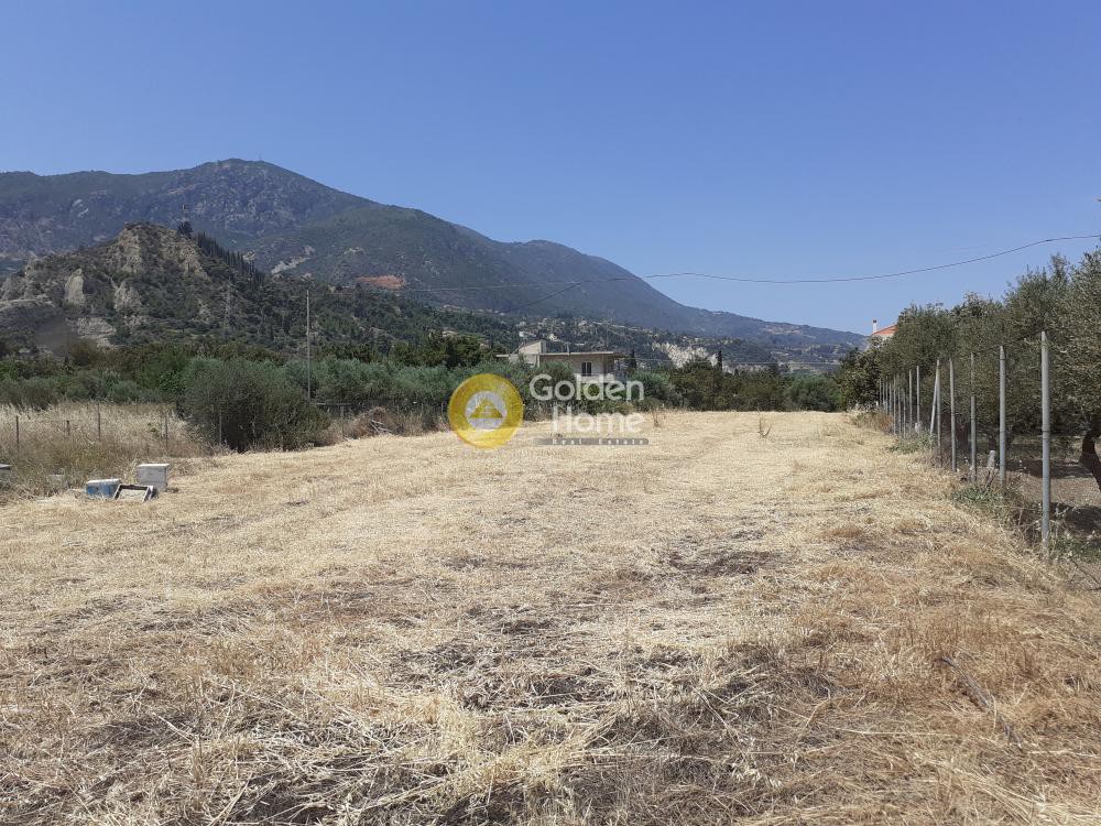 Αγροτεμάχια 2.981 τ.μ. προς πώληση, Κάτω Λουτρό