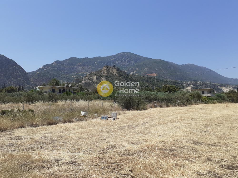 Αγροτεμάχια 2.981 τ.μ. προς πώληση, Κάτω Λουτρό