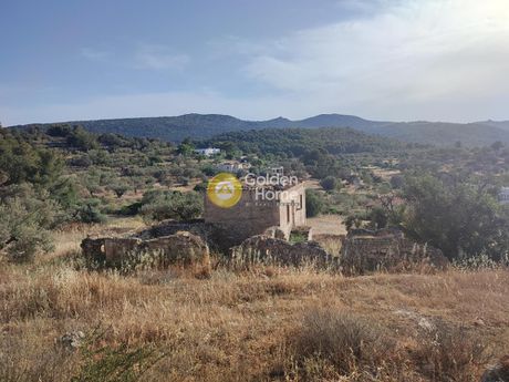 Οικόπεδο 7.203τ.μ. για πώληση-Αίγινα » Μεσαγρός
