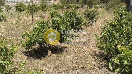 Land plot 576sqm for sale-Artemida (Loutsa) » Ypapanti