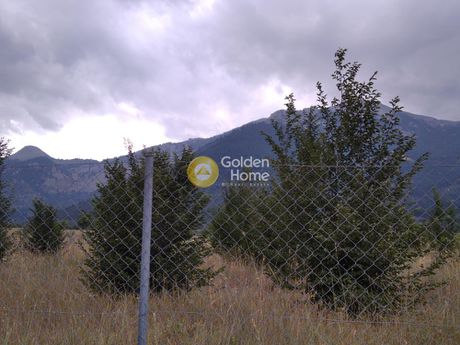 Land plot 5.850sqm for sale-Feneos » Louzi