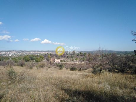 Οικόπεδο 8.000τ.μ. για πώληση-Αφίδνες » Κιούρκα