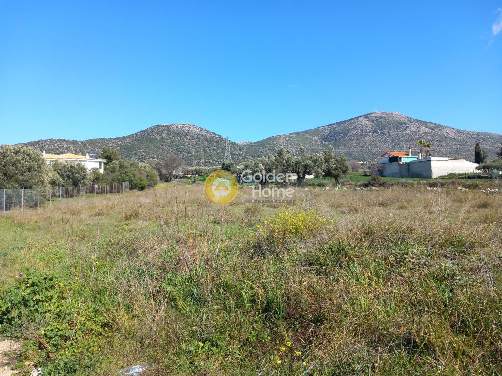 Αγροτεμάχια 2.713 τ.μ. προς πώληση, Κέντρο Καλυβίων Θορικού