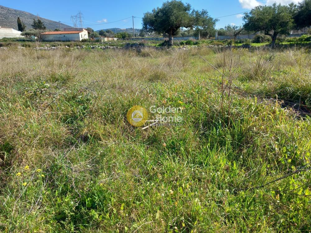Αγροτεμάχια 2.713 τ.μ. προς πώληση, Κέντρο Καλυβίων Θορικού