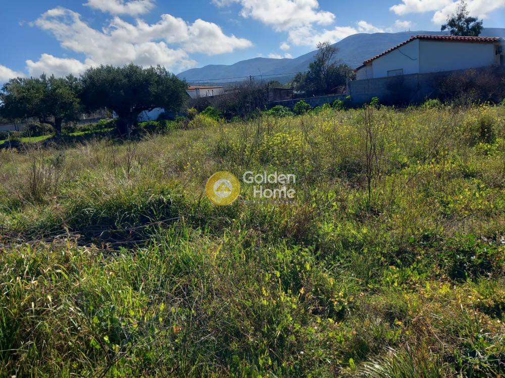 Αγροτεμάχια 2.713 τ.μ. προς πώληση, Κέντρο Καλυβίων Θορικού