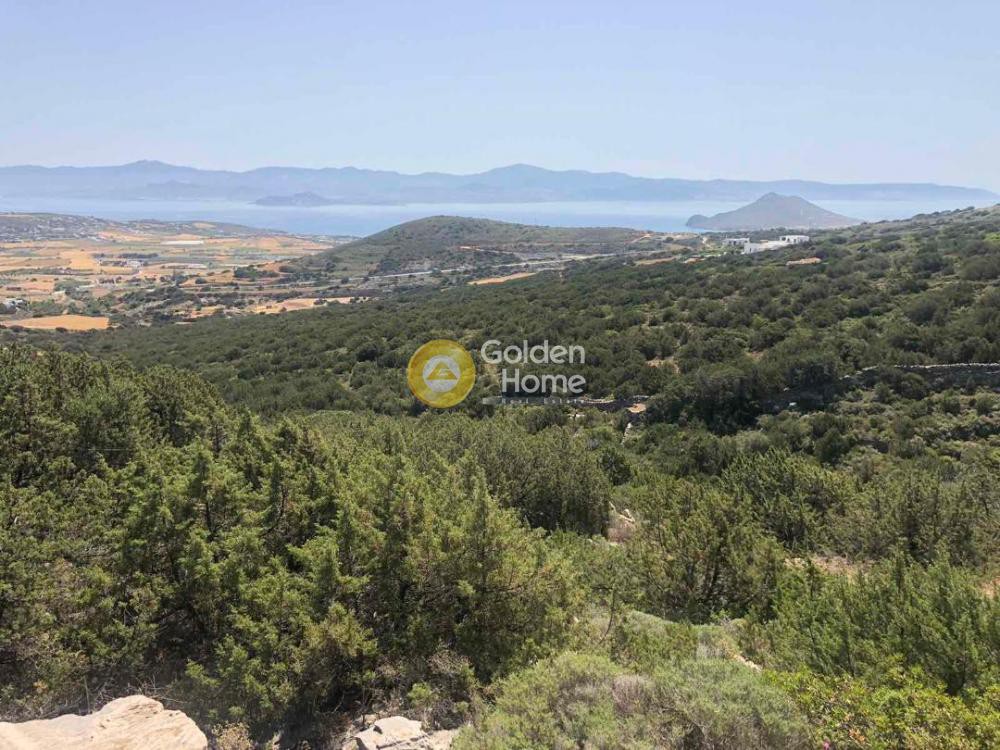 Οικόπεδο 6.430 τ.μ. προς πώληση, Κυκλάδες, Πάρος