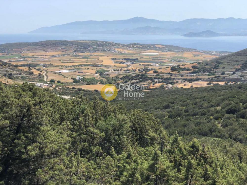 Οικόπεδο 6.430 τ.μ. προς πώληση, Κυκλάδες, Πάρος