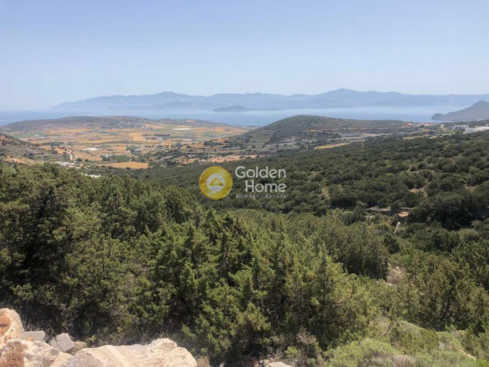 Οικόπεδο 6.430 τ.μ. προς πώληση, Κυκλάδες, Πάρος