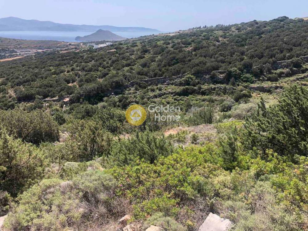 Οικόπεδο 6.430 τ.μ. προς πώληση, Κυκλάδες, Πάρος