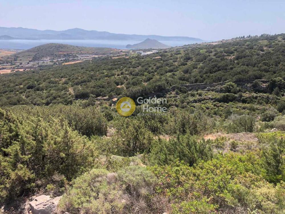 Οικόπεδο 6.430 τ.μ. προς πώληση, Κυκλάδες, Πάρος