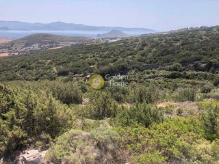 Οικόπεδο 6.430 τ.μ. για πώληση