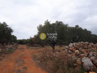Οικόπεδο 9.000 τ.μ. για πώληση