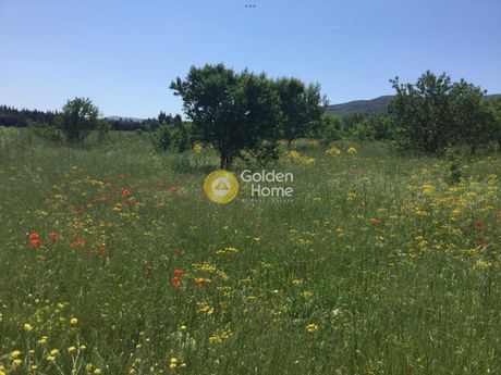 Parcel 5.000sqm for rent-Thermi » Agia Paraskevi