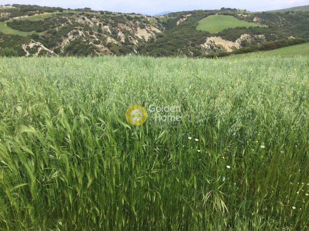 Αγροτεμάχια 5.000 τ.μ. προς ενοικίαση, Θεσσαλονίκη - Περιφ/Κοί Δήμοι, Θέρμη