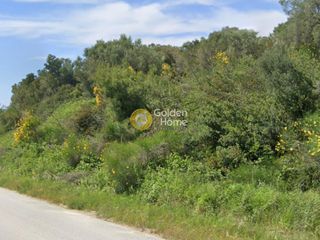 Αγροτεμάχια 3.160 τ.μ. για ενοικίαση, Χαλκιδική, Κασσάνδρα-thumb-12