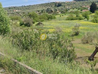 Αγροτεμάχια 3.160 τ.μ. για ενοικίαση, Χαλκιδική, Κασσάνδρα-thumb-8