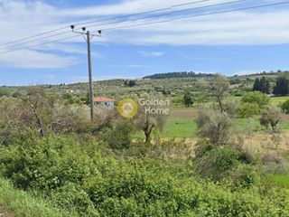 Αγροτεμάχια 3.160 τ.μ. για ενοικίαση, Χαλκιδική, Κασσάνδρα-thumb-17