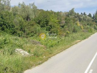 Αγροτεμάχια 3.160 τ.μ. για ενοικίαση, Χαλκιδική, Κασσάνδρα-thumb-6