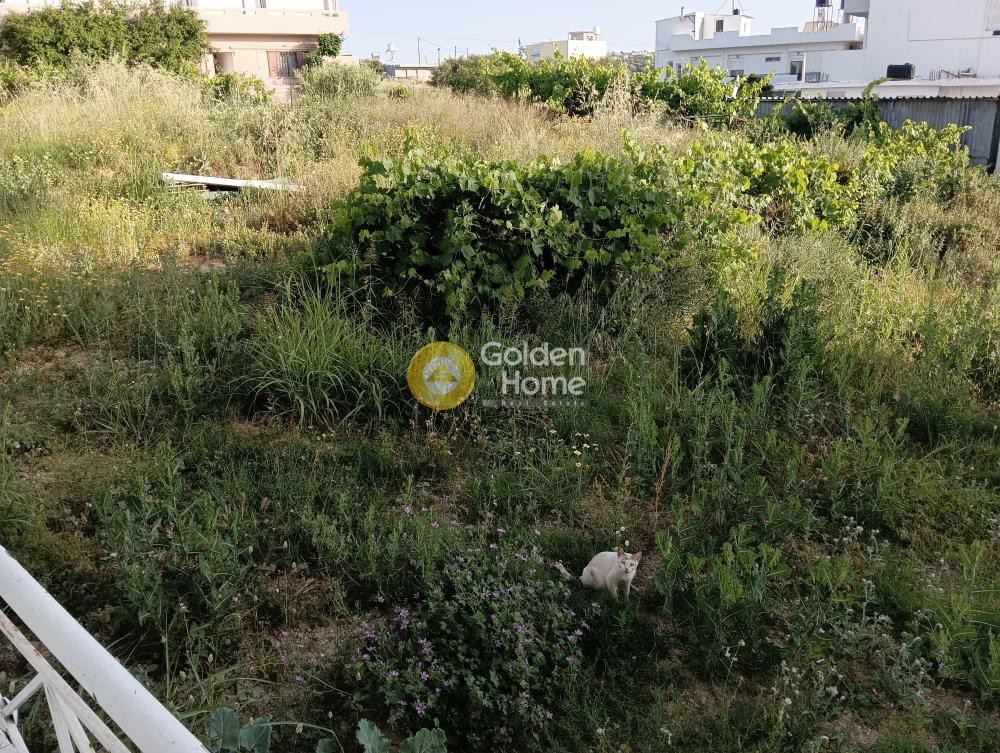 Αγροτεμάχια 780 τ.μ. προς ενοικίαση, Ν. Ηρακλείου, Γάζι