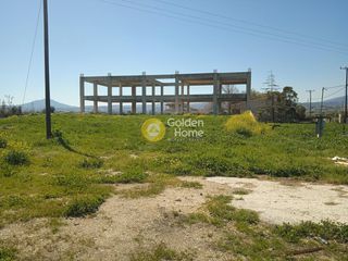 Κτίριο 924 τ.μ. προς ενοικίαση, Άγιος Ιωάννης Σικυώνας-thumb-1