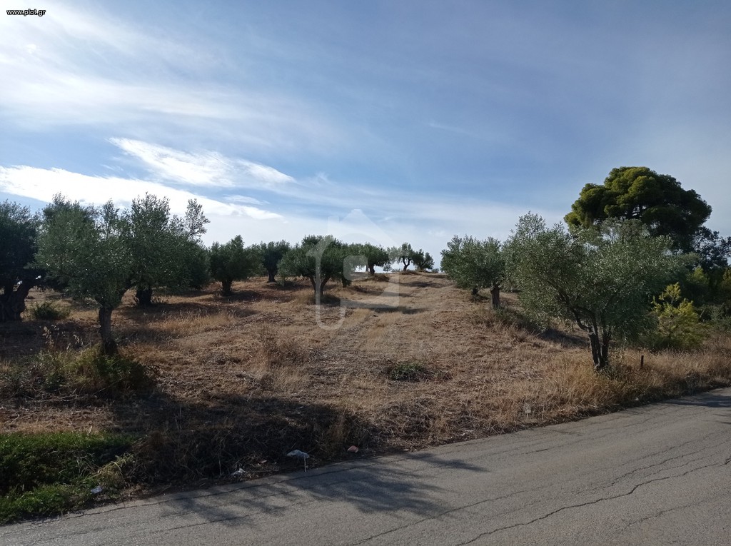 Οικόπεδο 1.275 τ.μ. για πώληση, Εύβοια, Αυλίδα