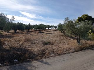 Οικόπεδο 1.275 τ.μ. για πώληση, Εύβοια, Αυλίδα-thumb-2