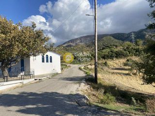 Οικόπεδο 4.300 τ.μ. προς πώληση, Αργυρά-thumb-3