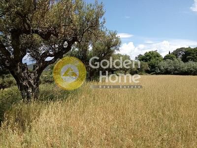 Land plot 1.548sqm for sale-Rio » Center