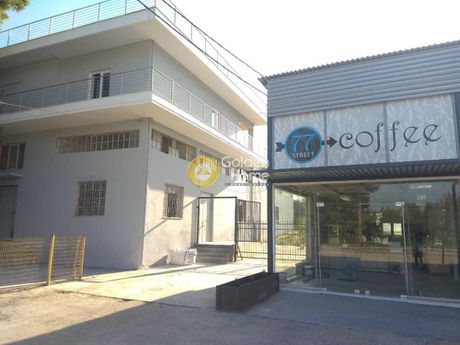 Store 1.260sqm for sale-Anthidonos » Xirovrisi
