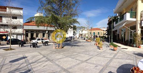 Parcel 18.000sqm for rent-Amaliada » Panagia