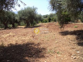 Αγροτεμάχια 571 τ.μ. προς πώληση, Δημητρόπουλο-thumb-2