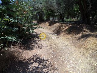 Αγροτεμάχια 571 τ.μ. για πώληση