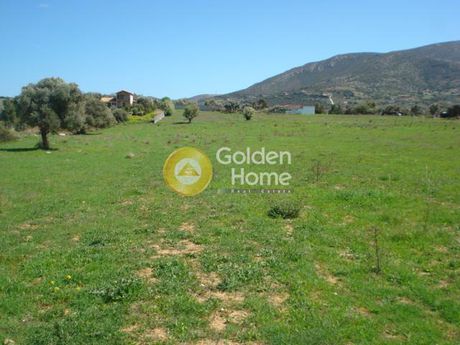 Parcel 9.200sqm for sale-Kalivia Thorikou » Κέντρο