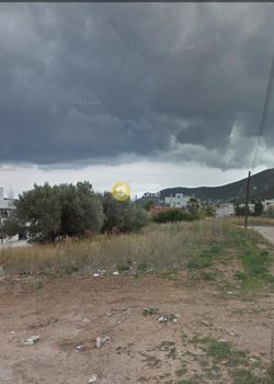 Land plot 1.247sqm for sale-Markopoulo » Koulidas