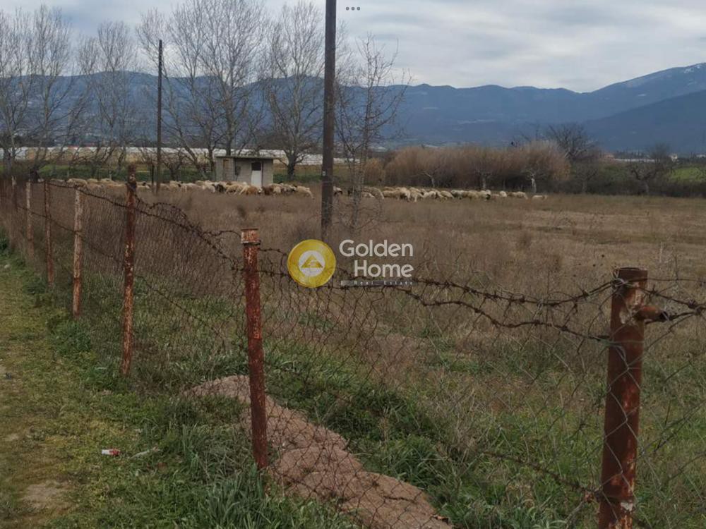 Αγροτεμάχια 5.120 τ.μ. προς πώληση, Σουρωτή