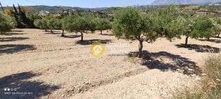 Οικόπεδο 4.800 τ.μ. για πώληση