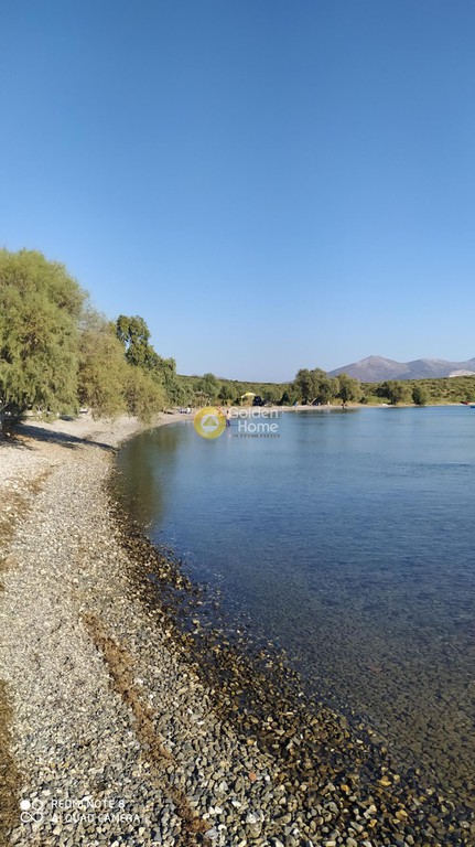 Μονοκατοικία 188 τ.μ. πρός πώληση, Εύβοια, Ταμύνες