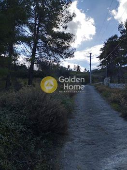 Parcel 8.473sqm for sale-Com. Kapandriti » Agioi Anargiroi