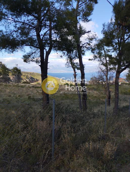 Αγροτεμάχια 8.473 τ.μ. προς πώληση, Άγιοι Ανάργυροι Καπανδριτίου