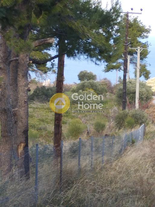 Αγροτεμάχια 8.473 τ.μ. προς πώληση, Άγιοι Ανάργυροι Καπανδριτίου
