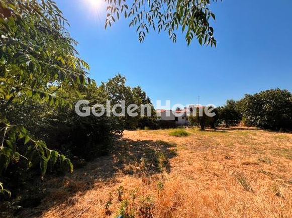 Οικόπεδο 600 τ.μ. προς πώληση, Ροβιές