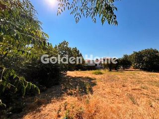 Οικόπεδο 600 τ.μ. για πώληση, Εύβοια, Λίμνη-thumb-2