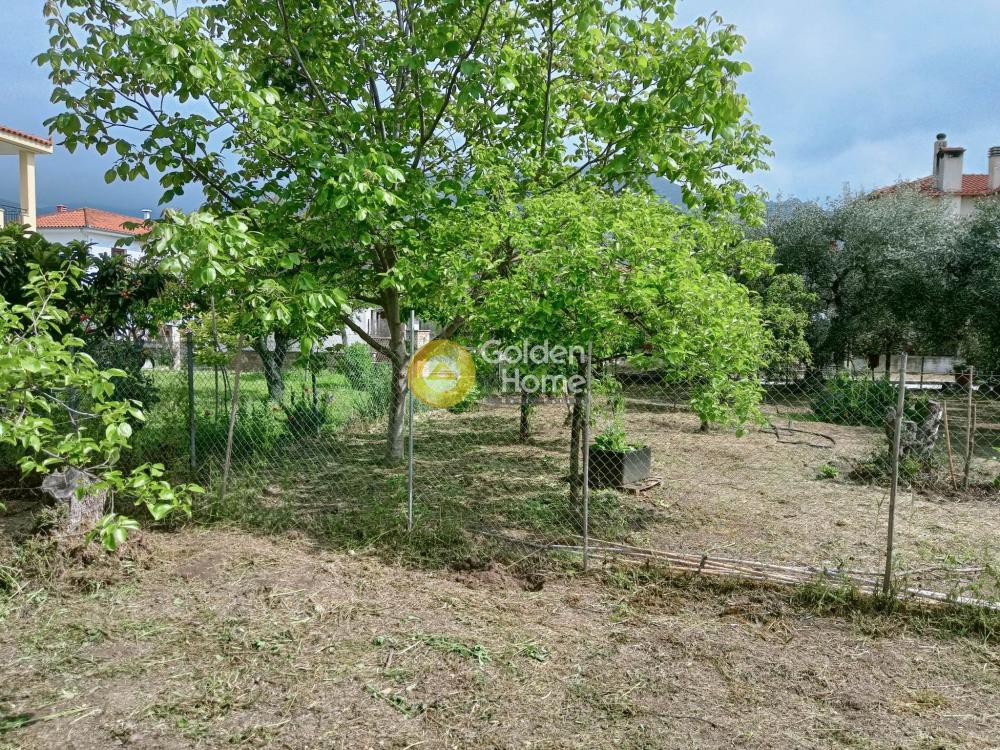 Οικόπεδο 1.220 τ.μ. πρός πώληση, Μαγνησία, Αγριά