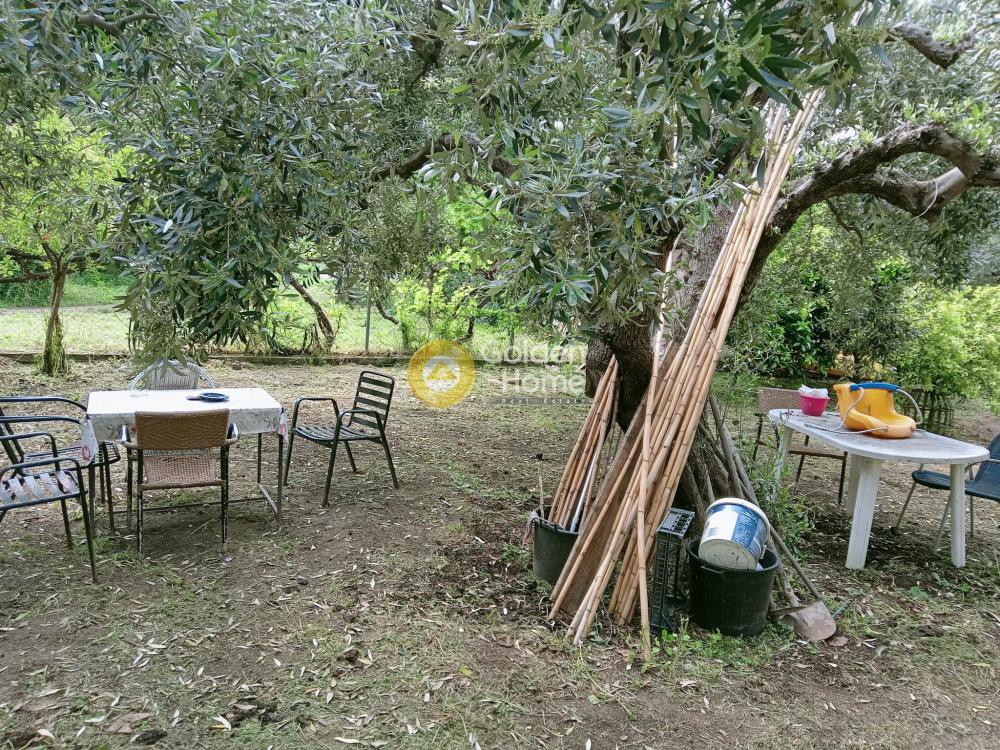 Οικόπεδο 1.220 τ.μ. πρός πώληση, Μαγνησία, Αγριά