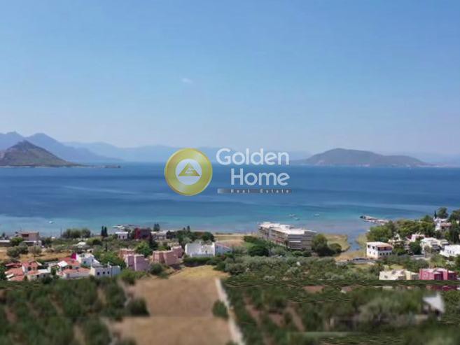 Οικόπεδο 1.291 τ.μ. προς πώληση, Μαραθώνας Αίγινας