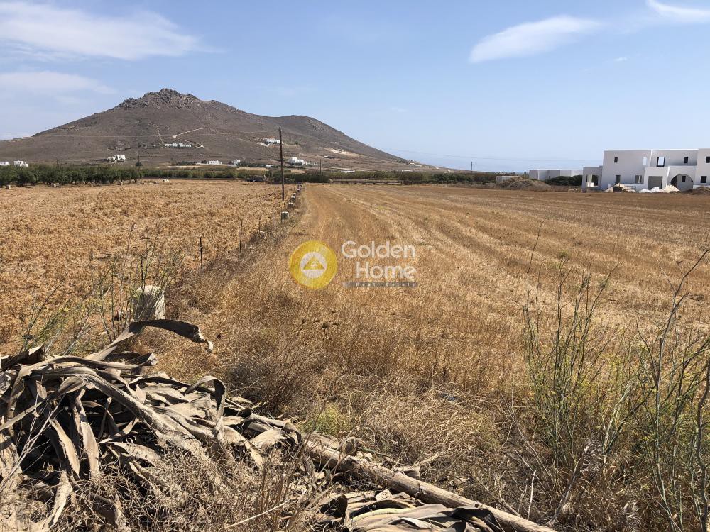 Οικόπεδο 6.594 τ.μ. προς πώληση, Άγιος Νικόλαος Πάρου