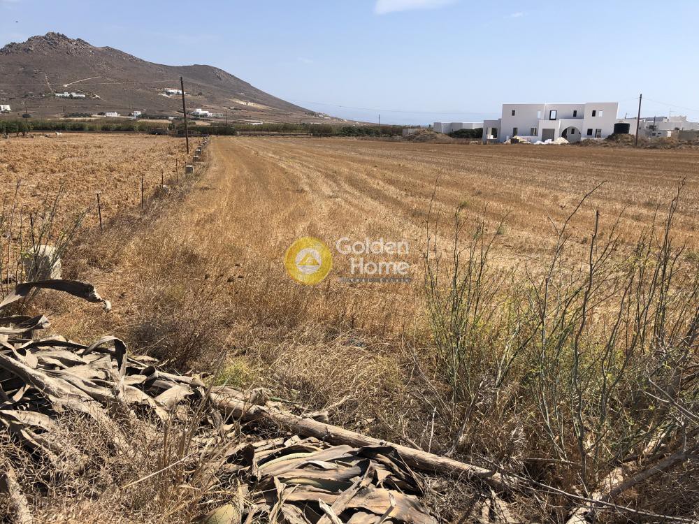 Οικόπεδο 6.594 τ.μ. προς πώληση, Άγιος Νικόλαος Πάρου