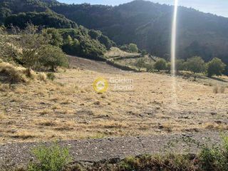 Οικόπεδο 8.600 τ.μ. προς πώληση, Αργυρά-thumb-7