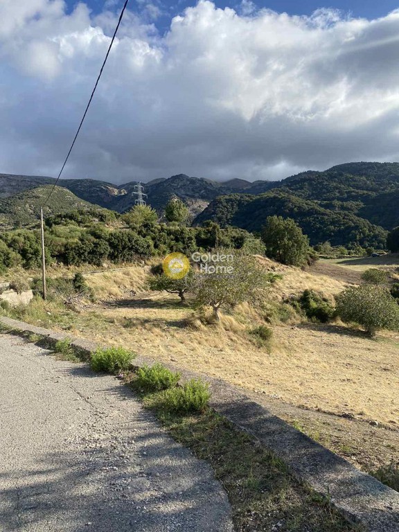 Οικόπεδο 8.600 τ.μ. προς πώληση, Αργυρά